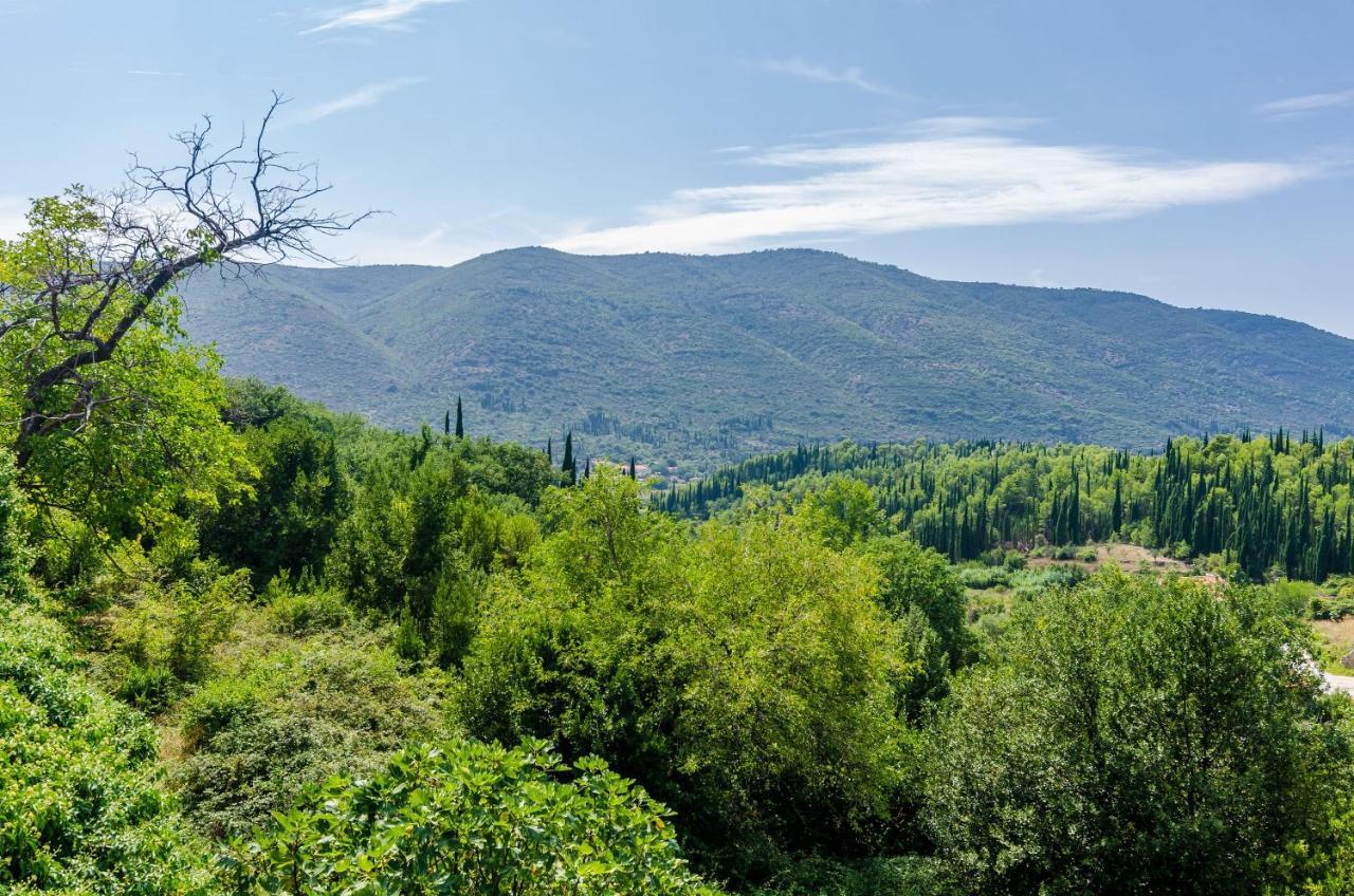 Villa Dalmatian Gem Gruda المظهر الخارجي الصورة